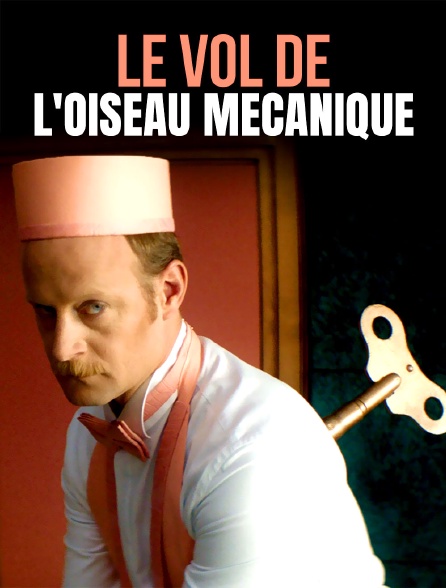 Le vol de l'oiseau mécanique