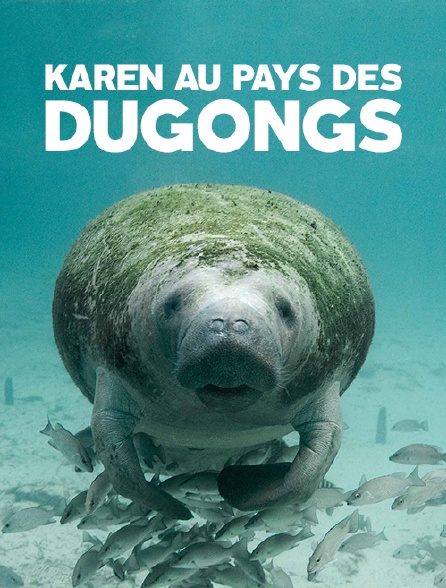 Karen au pays des Dugongs