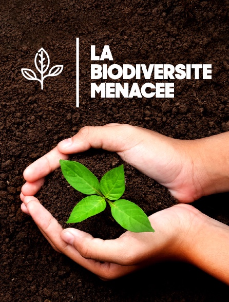 La biodiversité menacée