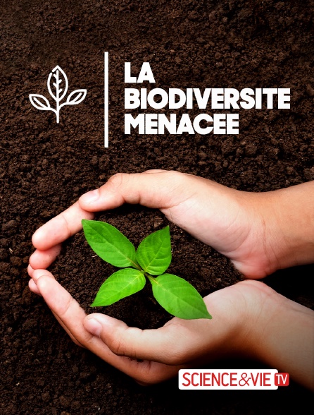 Science et Vie TV - La biodiversité menacée