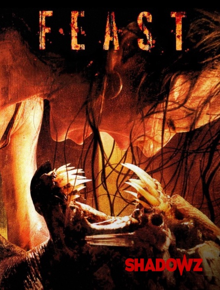 Shadowz - Feast