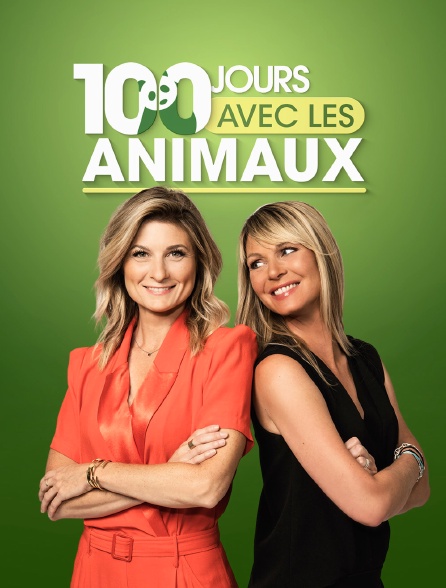 100 jours avec les animaux du zoo