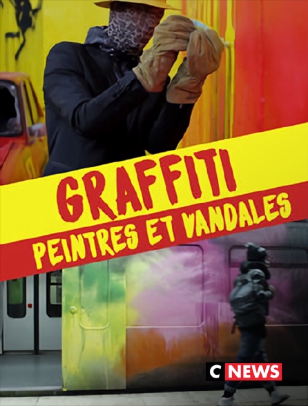 CNEWS - Graffiti : peintres et vandales
