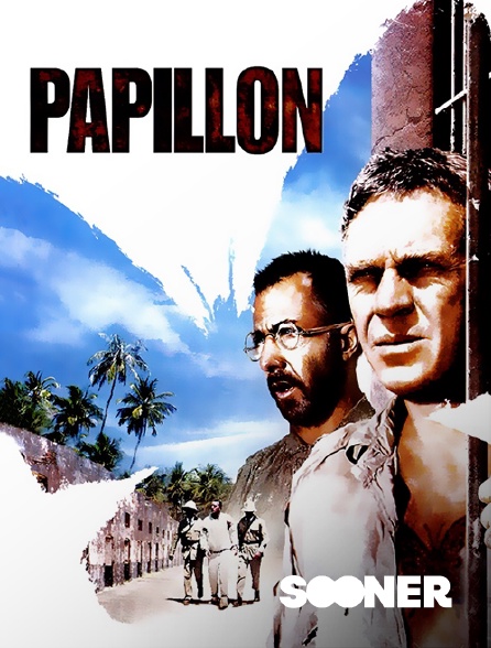 Sooner - Papillon