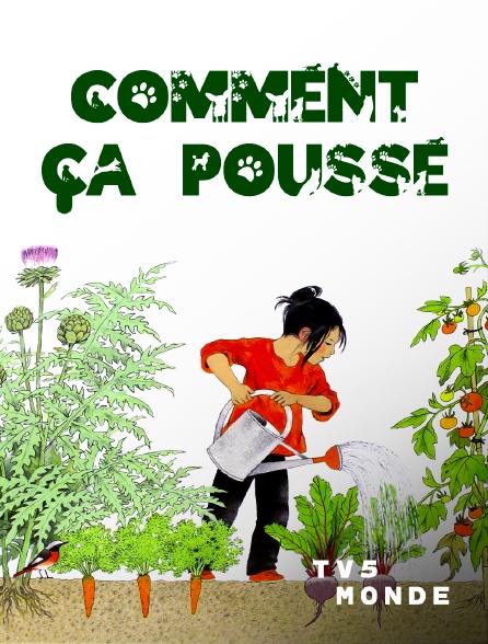 TV5MONDE - Comment ça pousse