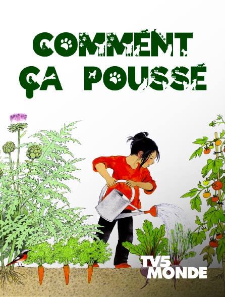 TV5MONDE - Comment ça pousse