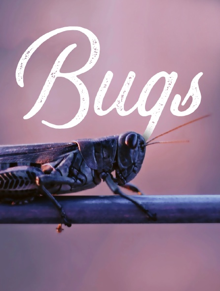 Bugs