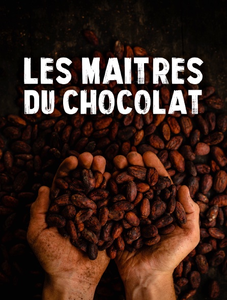 Les maîtres du chocolat