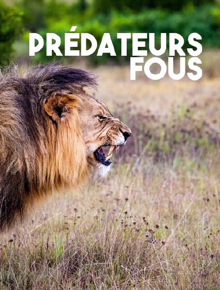 Prédateurs fous