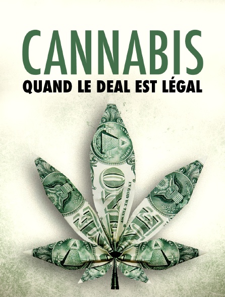 Cannabis : quand le deal est légal