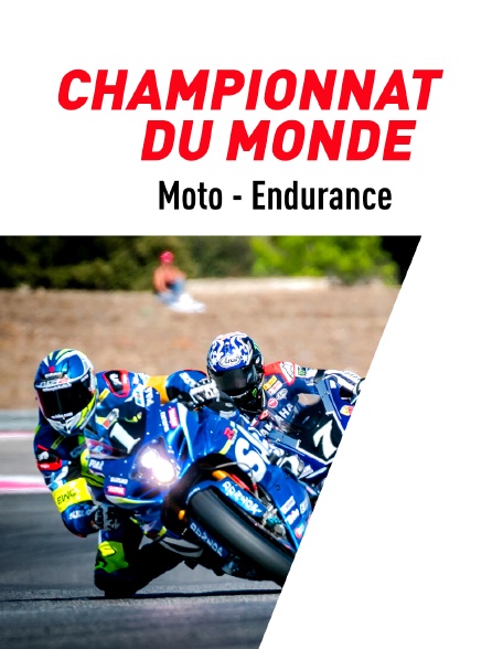 Moto - Endurance : Championnat du monde