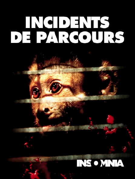 INSOMNIA - Incidents de parcours