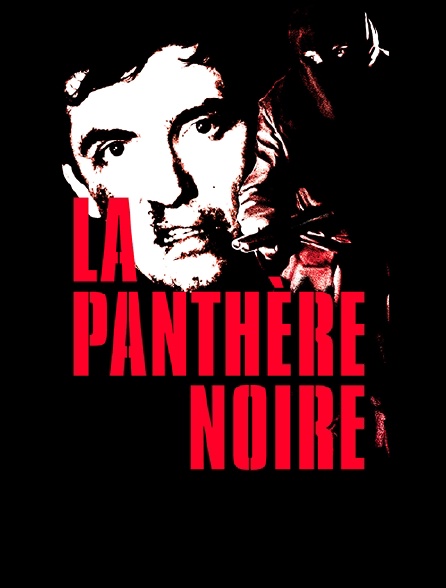 La panthère noire