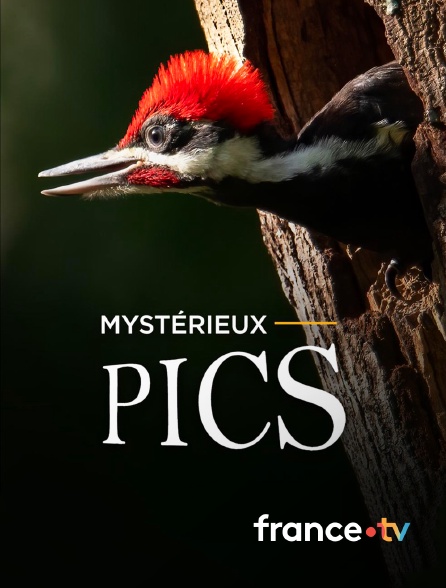 france.tv - Mystérieux pics