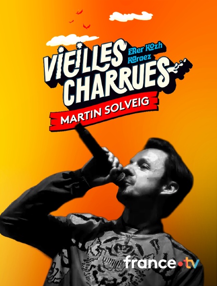 Culturebox - Martin Solveig aux Vieilles Charrues