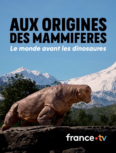 france.tv - Aux origines des mammifères, le monde avant les dinosaures