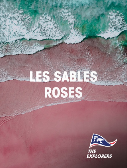 The Explorers - Les sables roses