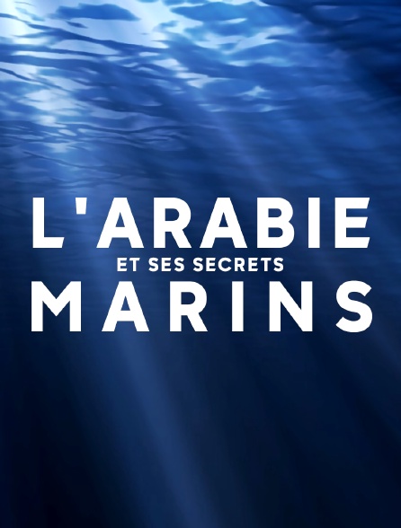L'Arabie et ses secrets marins