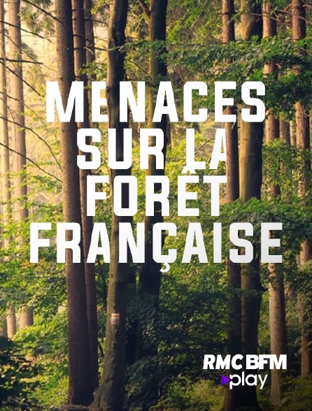 RMC BFM Play - Menaces sur la forêt française