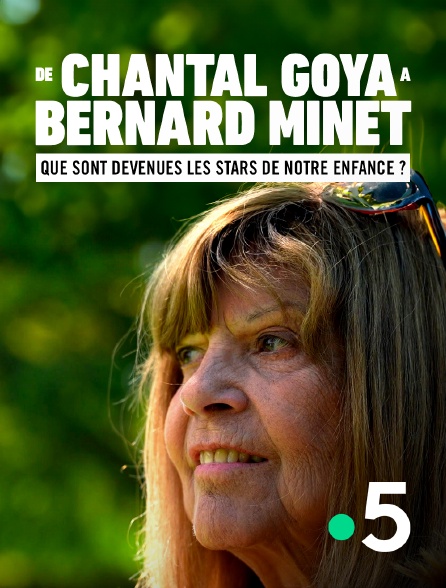 De Chantal Goya à Bernard Minet : Que Sont Devenues Les Stars De Notre ...