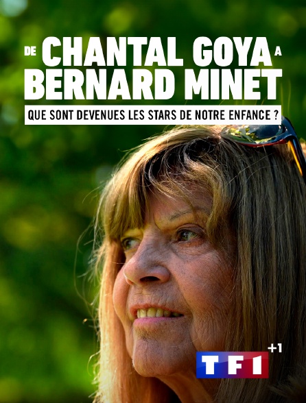 TF1 +1 - De Chantal Goya à Bernard Minet : que sont devenues les stars de notre enfance ?