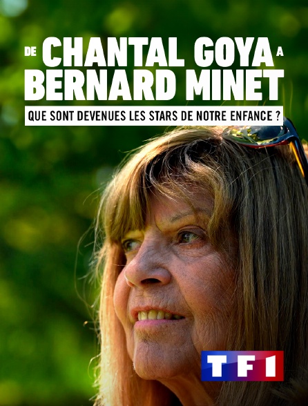 TF1 - De Chantal Goya à Bernard Minet : que sont devenues les stars de notre enfance ?