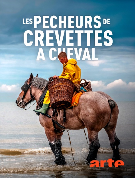 Arte - Belgique : Les pêcheurs de crevettes à cheval