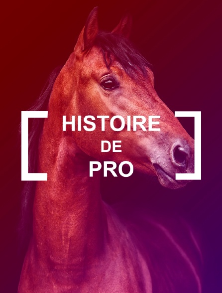 Histoire de pro