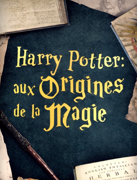 Harry Potter : Aux origines de la magie