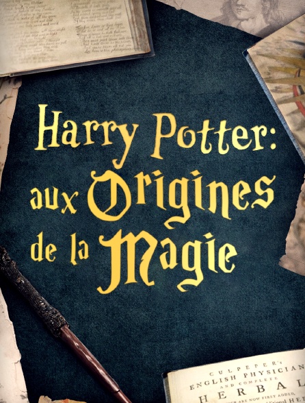 Harry Potter : aux origines de la magie