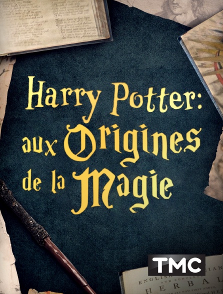TMC - Harry Potter : aux origines de la magie