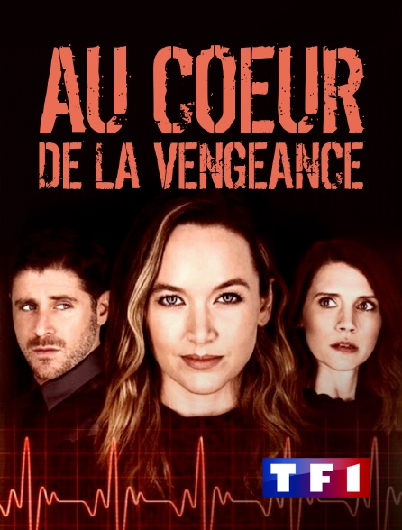 TF1 - Au coeur de la vengeance