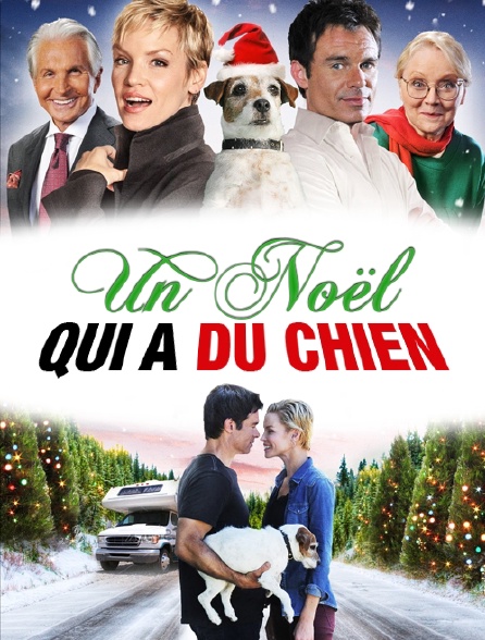 Un Noël qui a du chien !