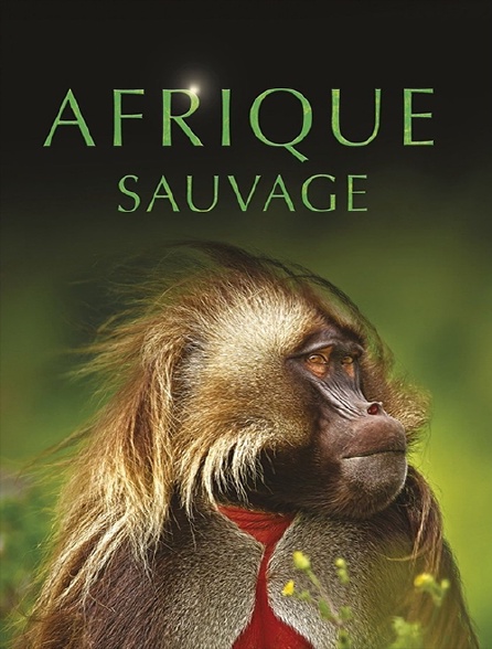 Afrique sauvage