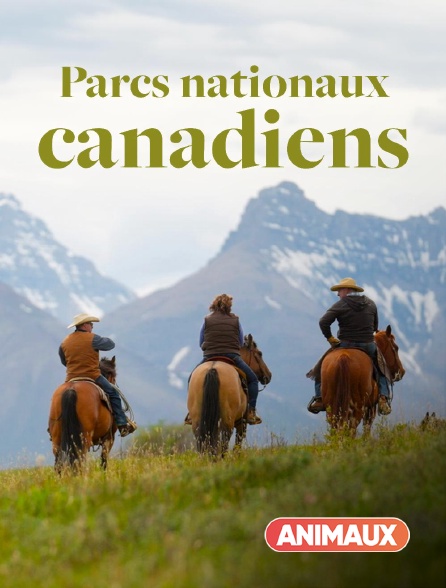Animaux - Les parcs nationaux canadiens