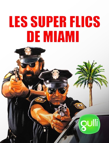 Gulli - Les super-flics de Miami