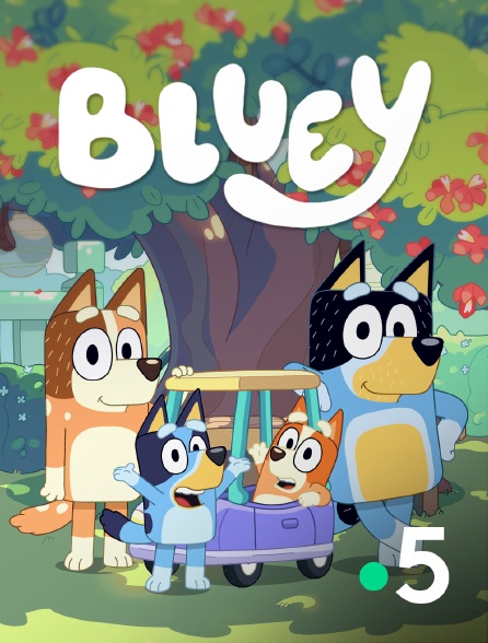 France 5 - Bluey