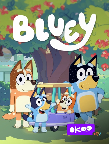 Okoo - Bluey