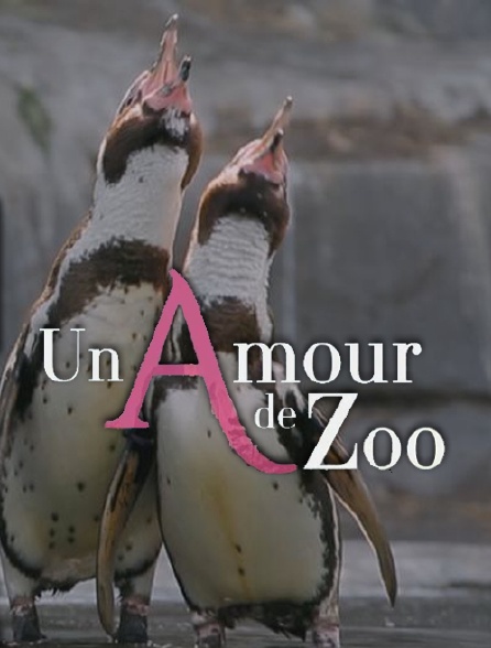Un amour de zoo
