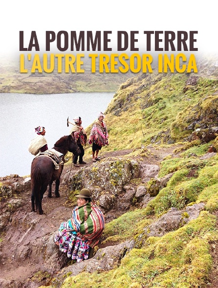 La pomme de terre, l'autre trésor inca