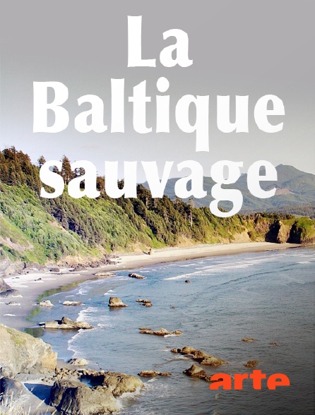 Arte - La Baltique sauvage
