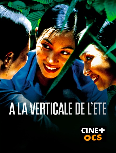 CINÉ Cinéma - A la verticale de l'été