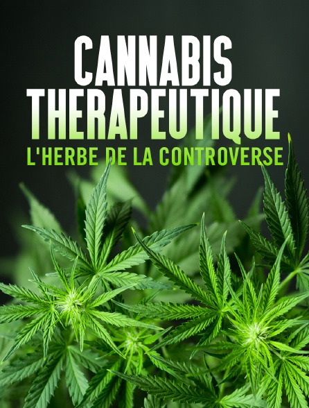 Cannabis thérapeutique, l'herbe de la controverse