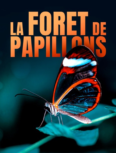 La forêt de papillons