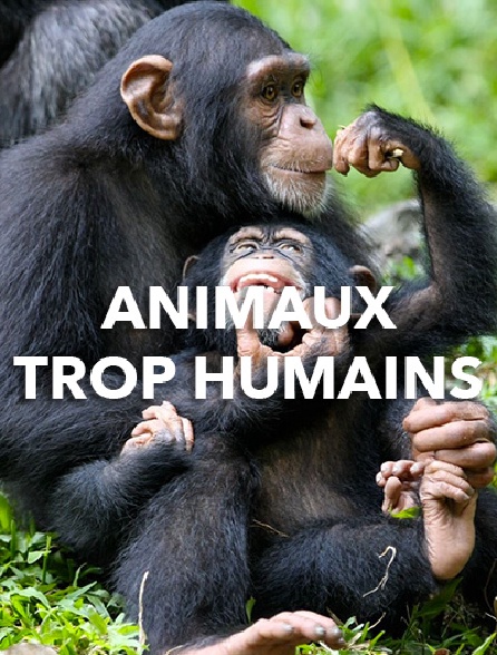 Animaux trop humains
