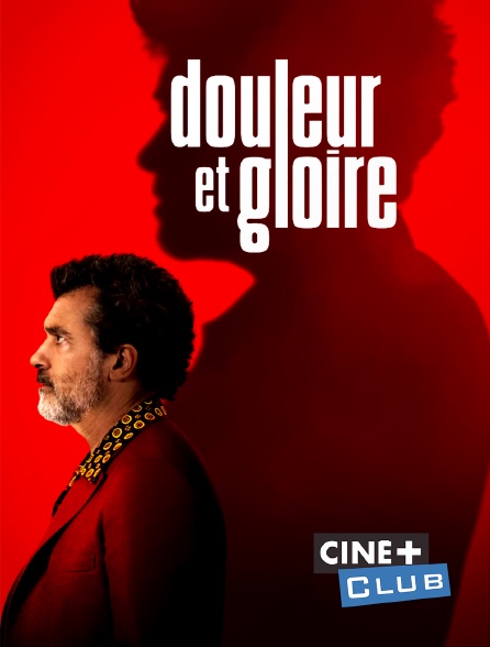 Douleur Et Gloire Streaming Douleur et gloire en Streaming & Replay sur Ciné+ Club - Molotov.tv