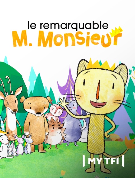 MyTF1 - Le remarquable M. Monsieur