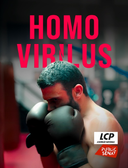 LCP Public Sénat - Homo virilus : la fabrique du mâle-être