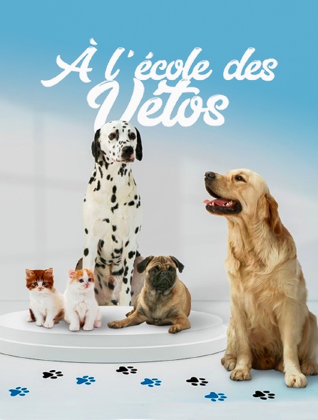 A l'école des vétos
