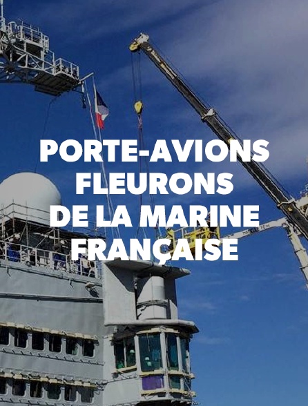 Porte-avions, fleurons de la marine française